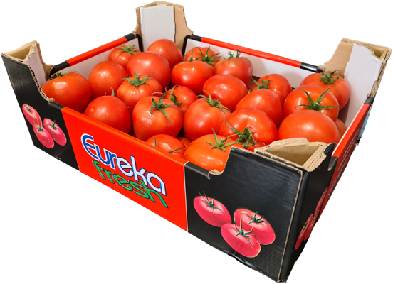 Tomato box