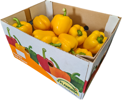 Box of yellow capsicums